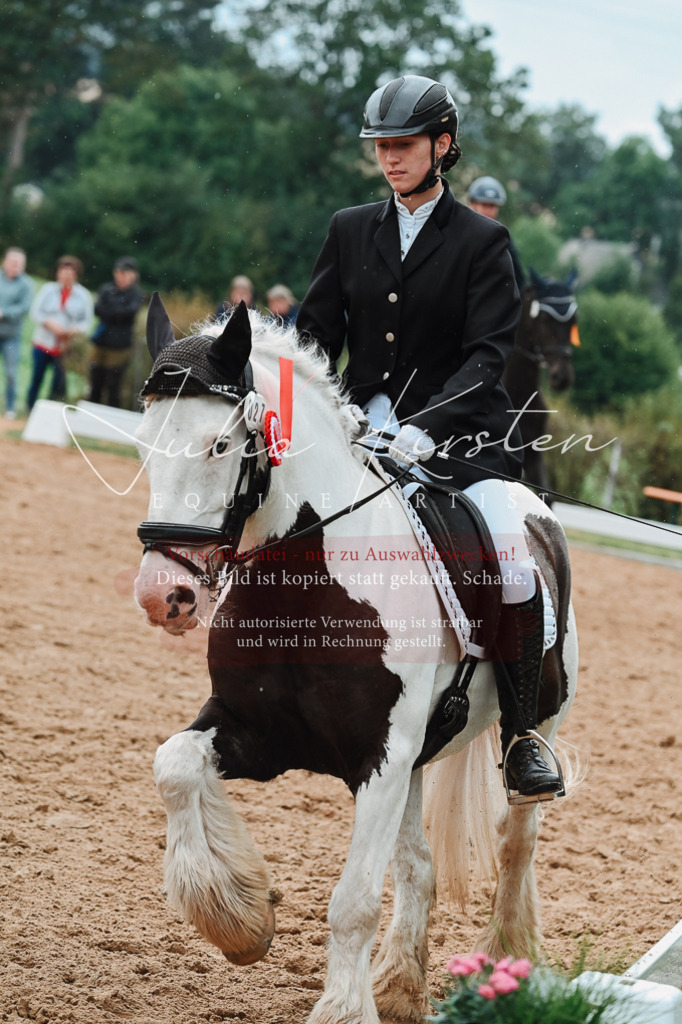DSC_7297 | Pferde- und Turnierfotografie in Westsachsen. Pferdeportraits, Auftragszeichnungen und intuitive Kunst.