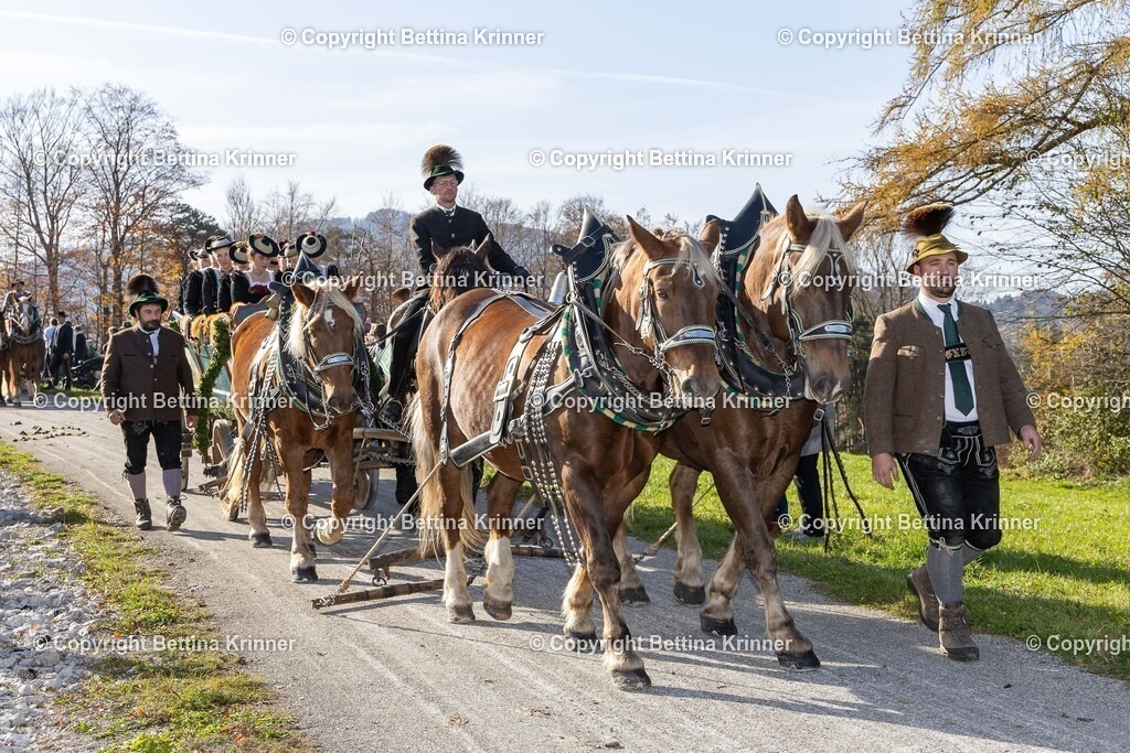 LBT24-1301 | foto-bettina-krinner - Realisiert mit Pictrs.com