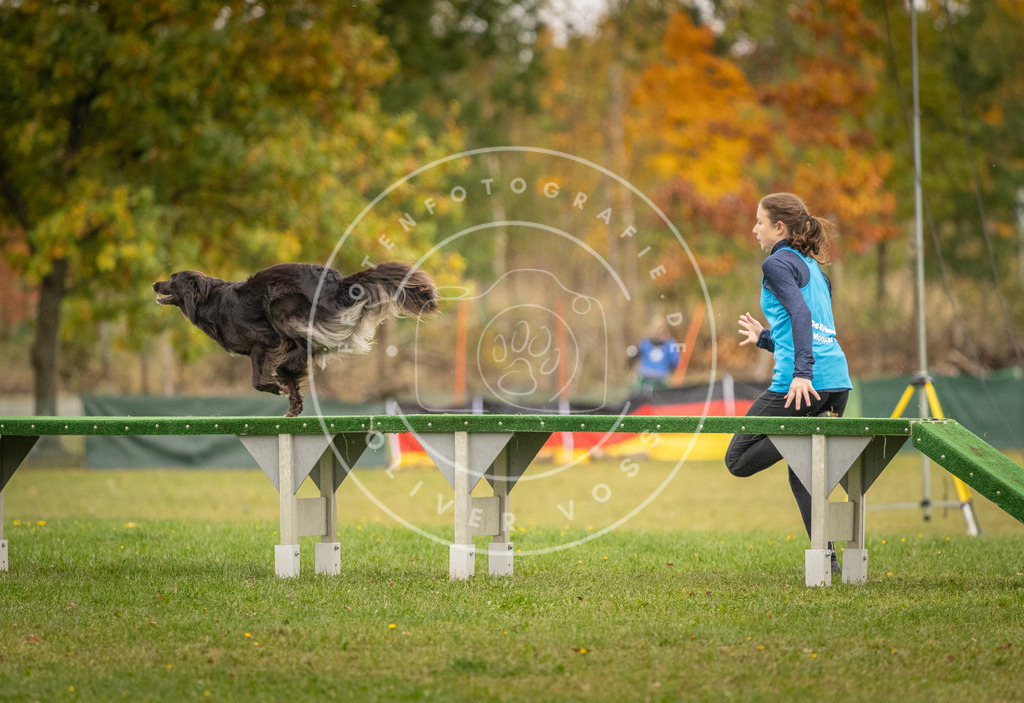 Pfotenfotografie_DV3A7068 | Hundefotografie, Tierfotograf, Pfotenfotografie, Fotoshooting Hund, Hunde Portrait, Hundesport, Hundeportraits, Heideshooting, Hunde, Sportfotograf, Hundefotograf, Turnierhundsport, THS,  - Realisiert mit Pictrs.com