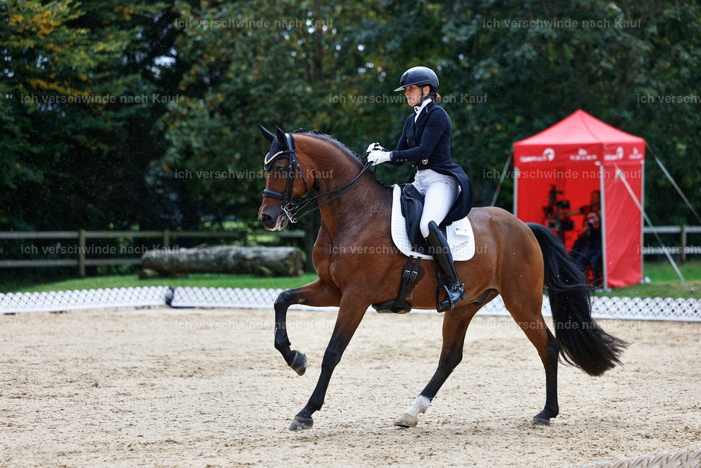8_1-100-Klasse S_  -StoibPH-3881 | working equitationturnier fotograf videograf stoibphotography marixx film working equitation deutschland reitsport turnierfotografie eventfotografie equestrian events