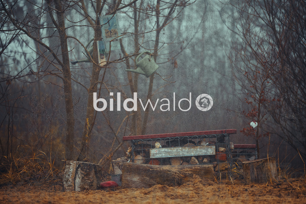 christmas tree elsfleth crazy mad thingy-3922 | BILDWALD - eine Auswahl an Bildern von Thomas Perrotton zum bestellen und genießen. Alle Bilder von Thomas Perrotton - Alle Bilder mit einer SONY Kamera gemacht - SONY TAMRON SIGMA PHOTOSHOP LIGHTROOM BILDWALD Online kaufen Bilderwald Wandbilder - Realisiert mit Pictrs.com