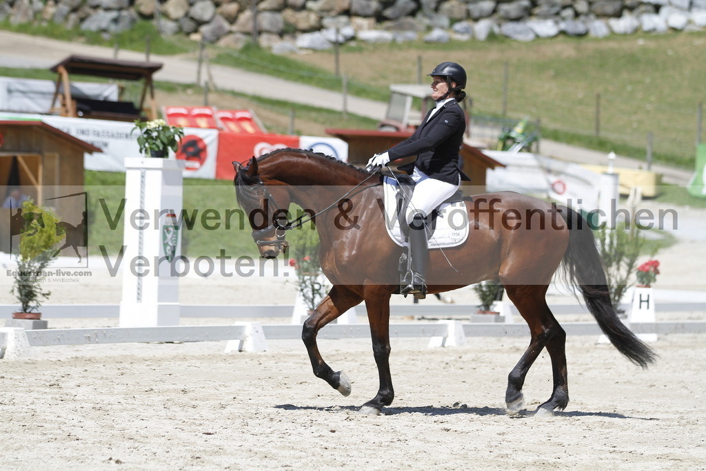 _MG_4896 | equestrian-live-com