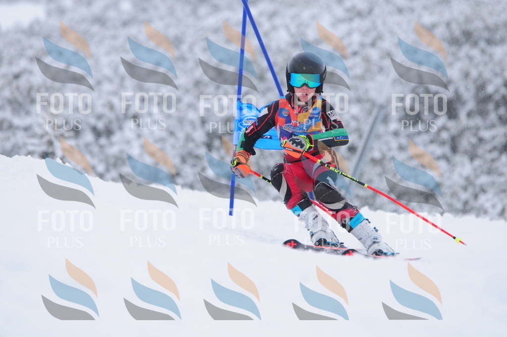 C3107 | holidayphoto