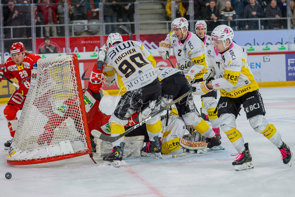 EHCB vs HCA 20260127_wb-9644 | Sportbilder, Sportfotograf, Hochzeits- und Eventfotografin, Flugshows, Portraits und Tiershooting, Aviation, Downhill, Nationalleague, Swissleague, International