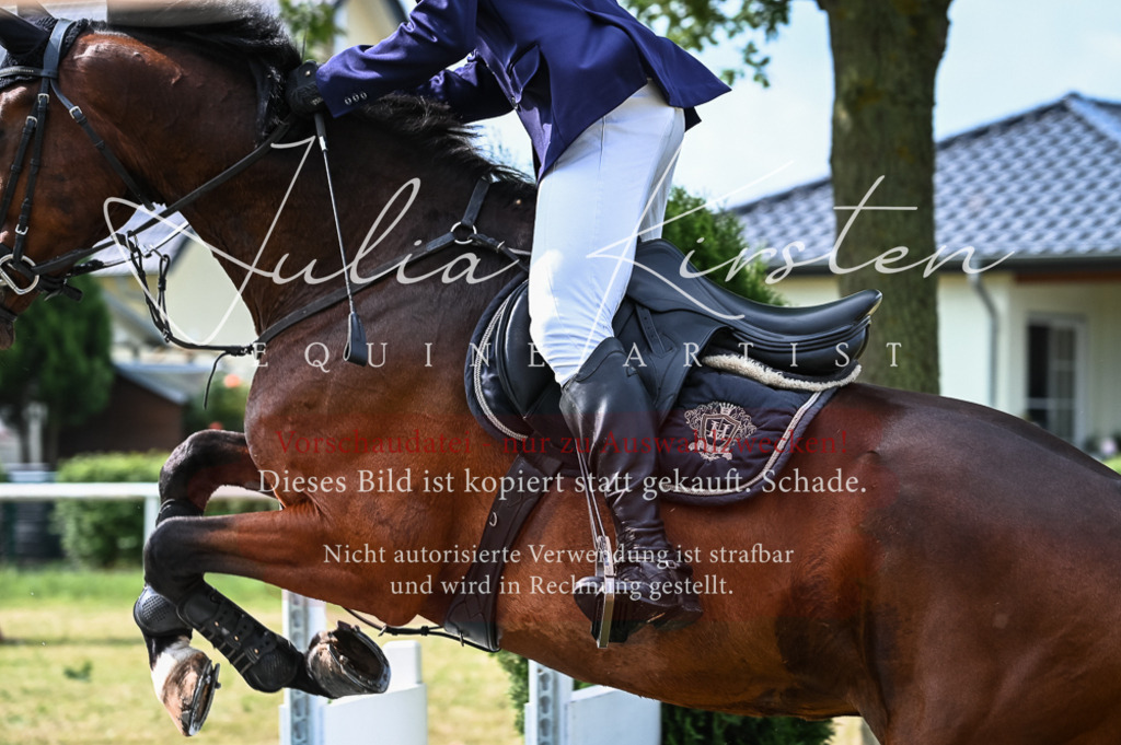DSC_8404 | Pferde- und Turnierfotografie in Westsachsen. Pferdeportraits, Auftragszeichnungen und intuitive Kunst.