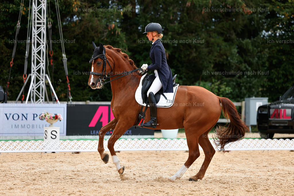 11-238-Dressur S___-StoibPH-985 | working equitationturnier fotograf videograf stoibphotography marixx film working equitation deutschland reitsport turnierfotografie eventfotografie equestrian events