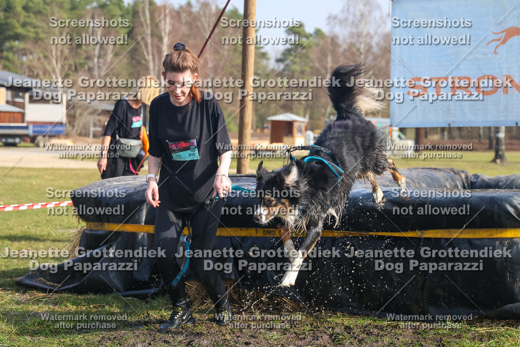 Dog Paparazzi - Strongdog North Mrz26-1801 | Dog Paparazzi Jeanette Grottendiek Fotografie & Videografie - Realisiert mit Pictrs.com