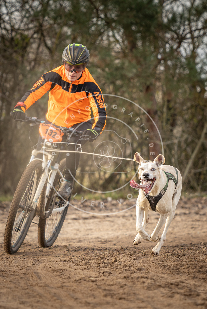 Pfotenfotografie_DV3A8245 | Hundefotografie, Tierfotograf, Pfotenfotografie, Fotoshooting Hund, Hunde Portrait, Hundesport, Hundeportraits, Heideshooting, Hunde, Sportfotograf, Hundefotograf, Turnierhundsport, THS,  - Realisiert mit Pictrs.com