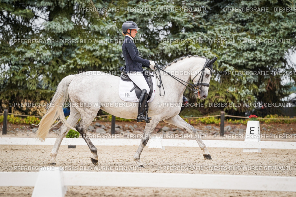 DSC07828 | Pferdegrafie