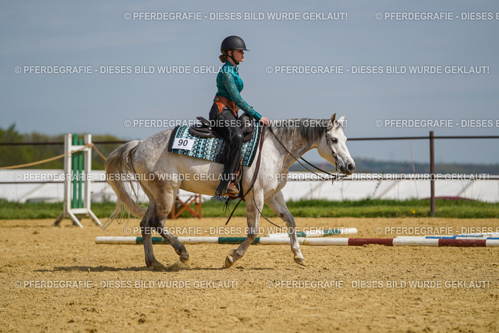 DSC04590 | Pferdegrafie