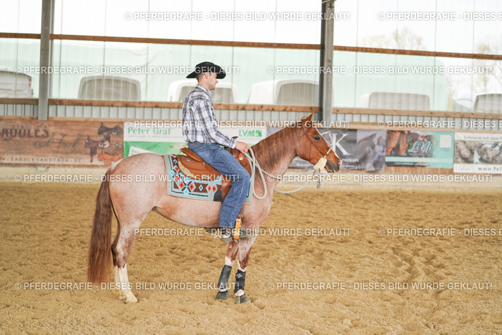 DSC03751 | Pferdegrafie