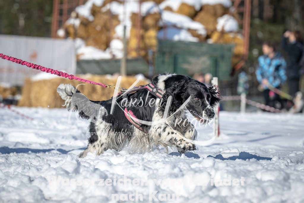 1102_ZZ94445-2 | kk-dogfotos