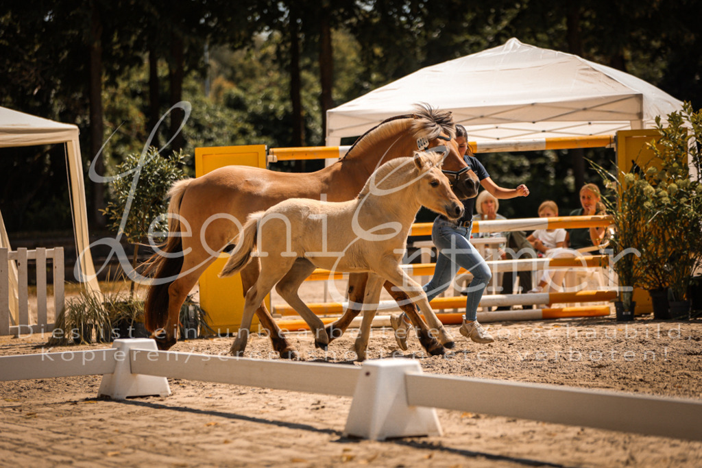 05.DoF00020 | Leoni Ertmer Photography - Realisiert mit Pictrs.com