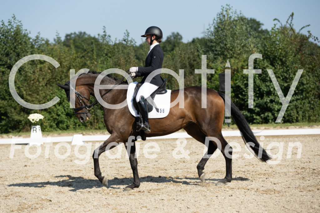 IMG_5958 | Creatify Fotografie