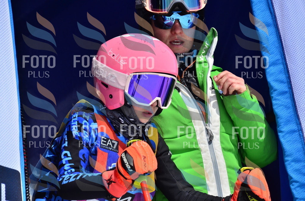 _ELE1234 | holidayphoto