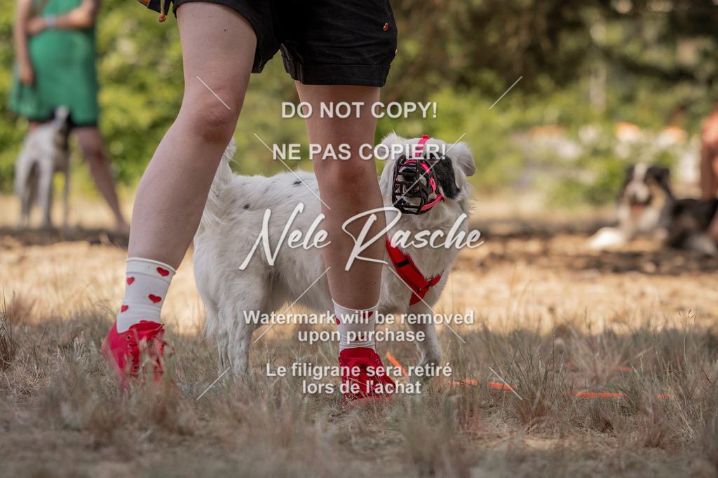 nelerasche_soDD2_389 | nelerasche