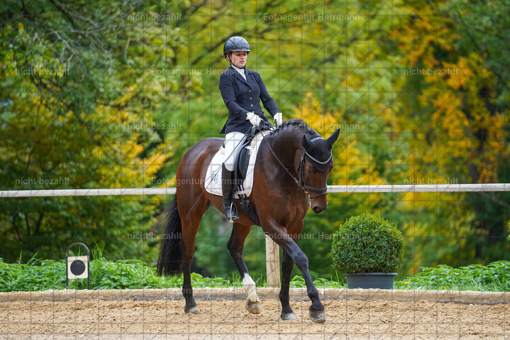 20221008-FAH01585 | Diessen am Ammersee, 2022, Dressur- und Springturnier, Reitsportbilder, Turnierfotografen Bayern, Pferdefotografen, Fotoagentur Herrmann, Turnierbilder