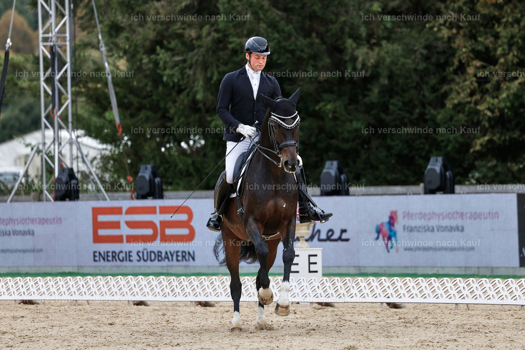 3-213-Dressur M_-StoibPH-2505 | working equitationturnier fotograf videograf stoibphotography marixx film working equitation deutschland reitsport turnierfotografie eventfotografie equestrian events