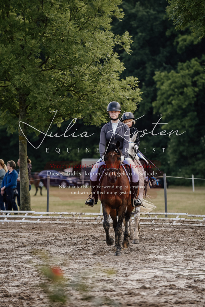 DSC_8311 | Pferde- und Turnierfotografie in Westsachsen. Pferdeportraits, Auftragszeichnungen und intuitive Kunst.