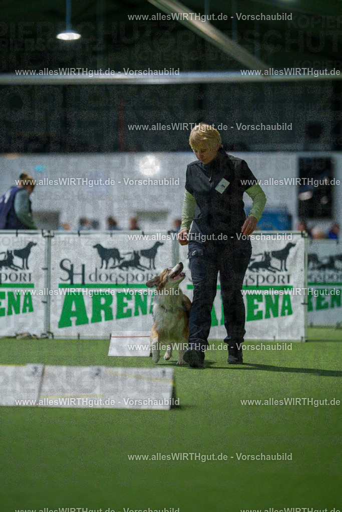 7R509688 | Professionelle Tierfotografie in Mönchengladbach von Daniel Wirth (allesWIRTHgut). Liebevolle & natürliche Bilder von Hunden & Katzen für unvergessliche Erinnerungen.