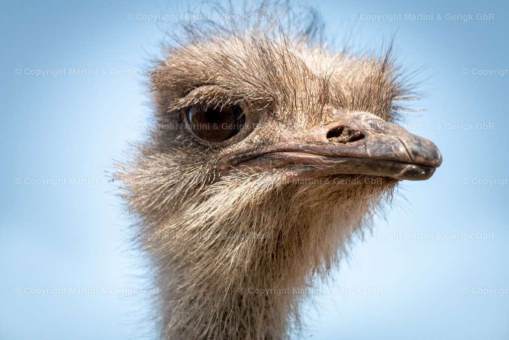 Markus Gerigk_54 | Martini & Gerigk - Realisiert mit Pictrs.com