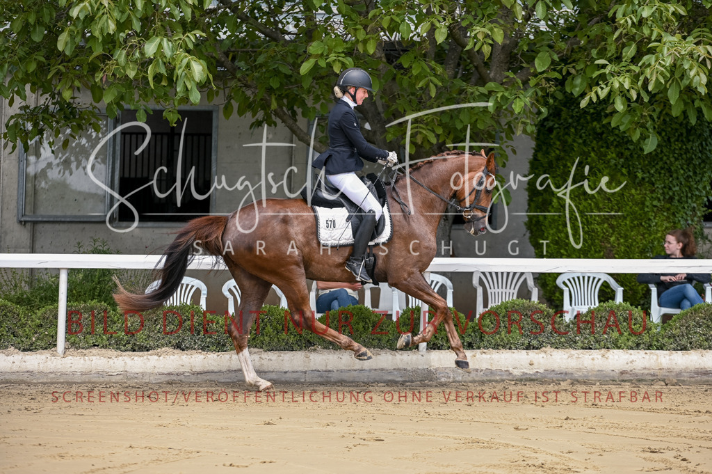 Schugtsche-Aluta25-48.Reitpferfdeprf.-104 | Schugtsche Fotografie - Realisiert mit Pictrs.com
