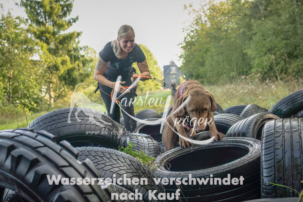 1056_ZZ90912-Bearbeitet-2 | kk-dogfotos