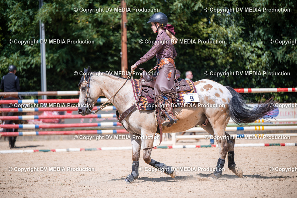 ZS1_1322 | dv-media-shop - Realisiert mit Pictrs.com