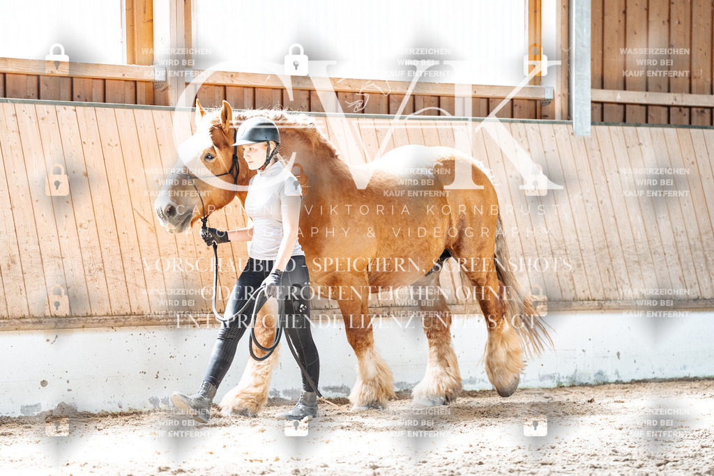 CK906430 | Turnierfotografie Pferdefotografie Trier Rheinland-Pfalz Pferdesport Reitsport Tierfotografie Sportfotografie Pferdevideo Pferdevideografie Equestrianvideography equestrianphotography  - Realisiert mit Pictrs.com