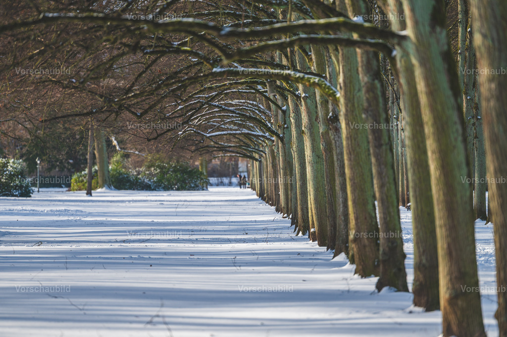 Celle im Schnee | Stadtlandschaften, sowie Makro-, Landschafts-, Natur- und Schwarzweißfotos aus der Region Celle &amp; Umgebung