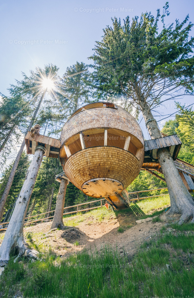Malga_Priu_Karnische_Milchstrasse_2020-47 | piet_flosse