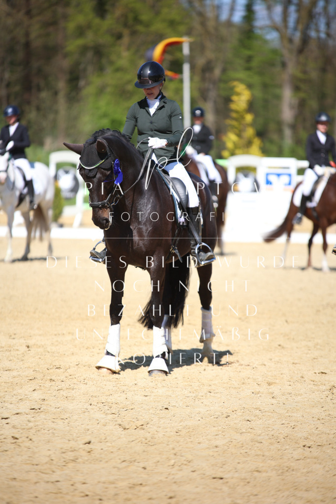 IMGT8171 | pl-fotografie