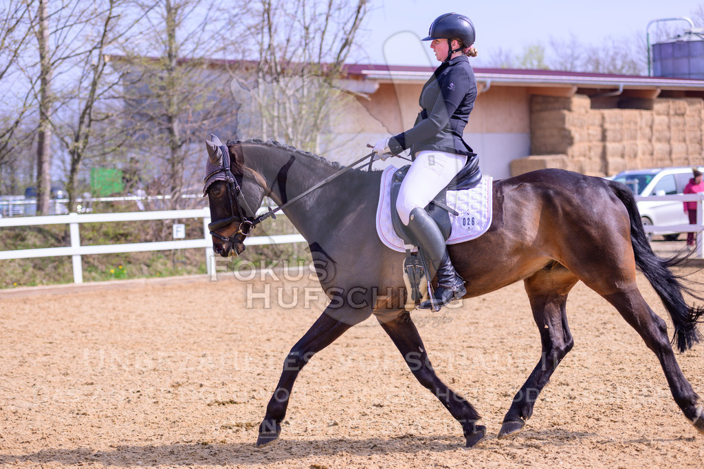 11042026-Mammendorf-Prfg30-0524 | Fokus Hufschlag Fotografie - Realisiert mit Pictrs.com