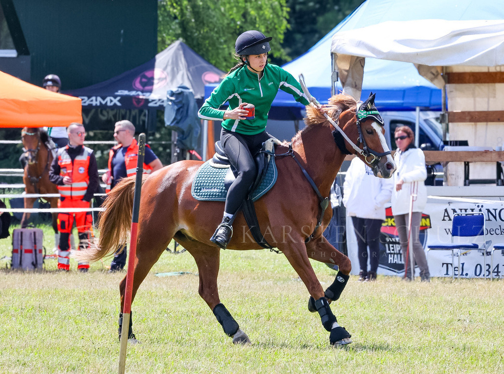 IMG_1614 | Reitsport Reiten