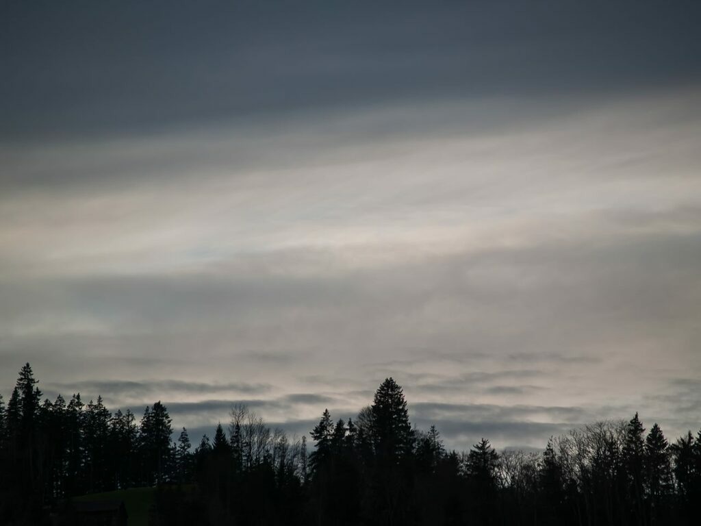 PSX_20230102_224154 | mtkfoto_ - Realisiert mit Pictrs.com