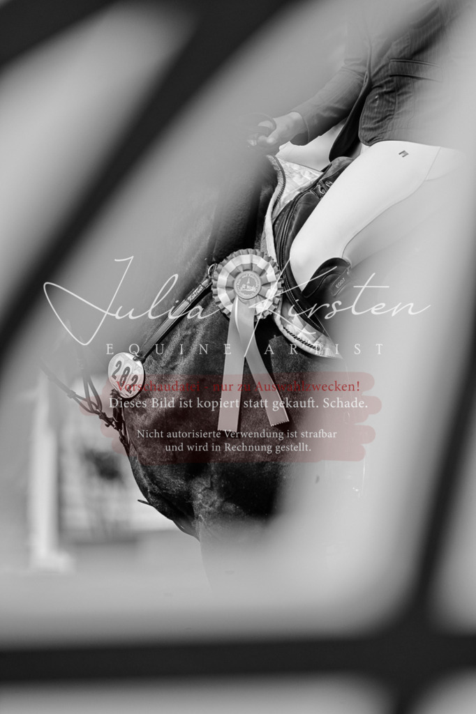 DSC_0711 | Pferde- und Turnierfotografie in Westsachsen. Pferdeportraits, Auftragszeichnungen und intuitive Kunst.