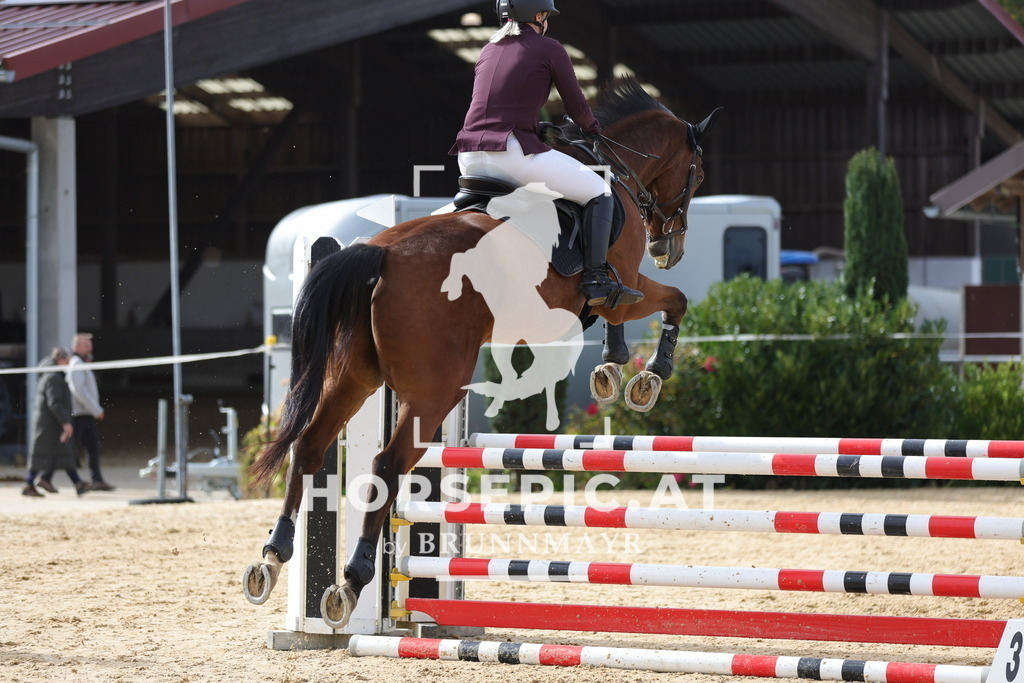 0P6A4435 | Willkommen bei Brunnmayr - Design & Fotografie – Ihrem Spezialisten für Reitturniere und Pferdeveranstaltungen in Oberösterreich, Salzburg und Bayern! Seit über 17 Jahren sind wir leidenschaftlich dabei.