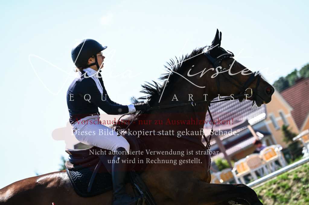 DSC_1539 | Pferde- und Turnierfotografie in Westsachsen. Pferdeportraits, Auftragszeichnungen und intuitive Kunst.