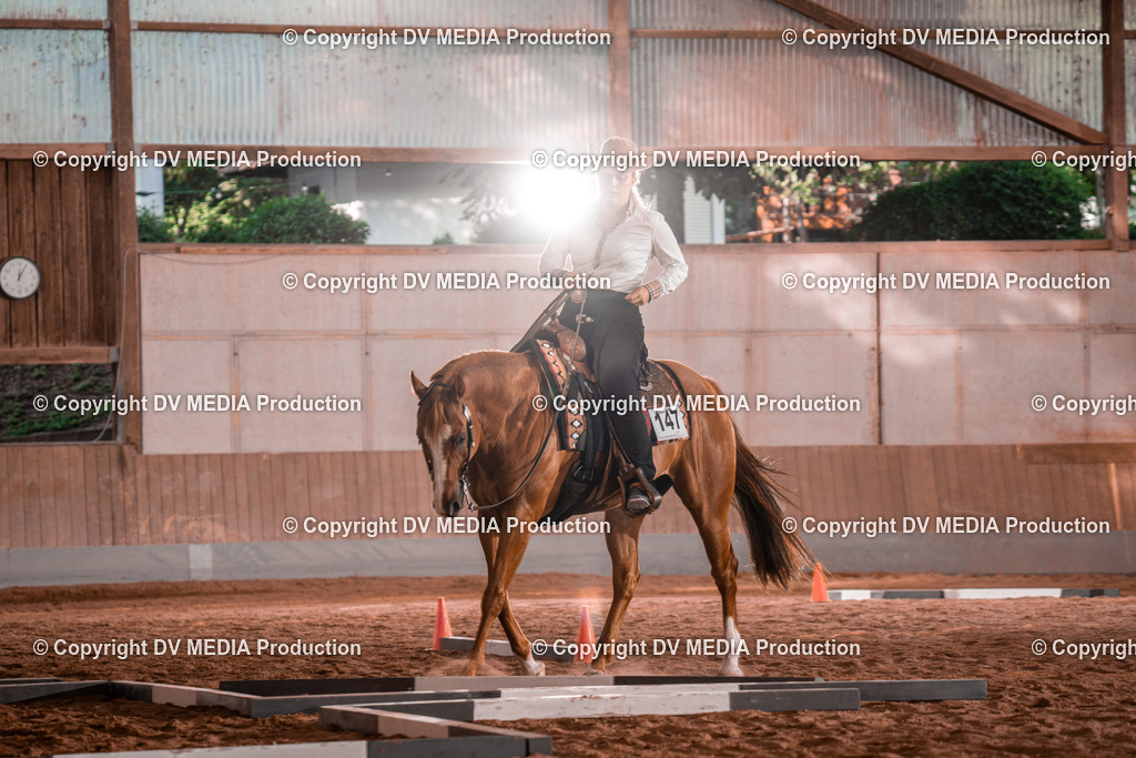 NE300153 | dv-media-shop - Realisiert mit Pictrs.com