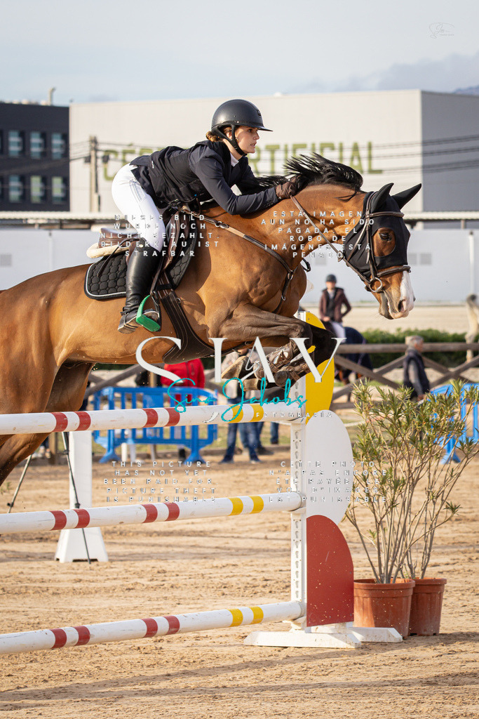 IMG_0537 | s-jay-photography - Realisiert mit Pictrs.com