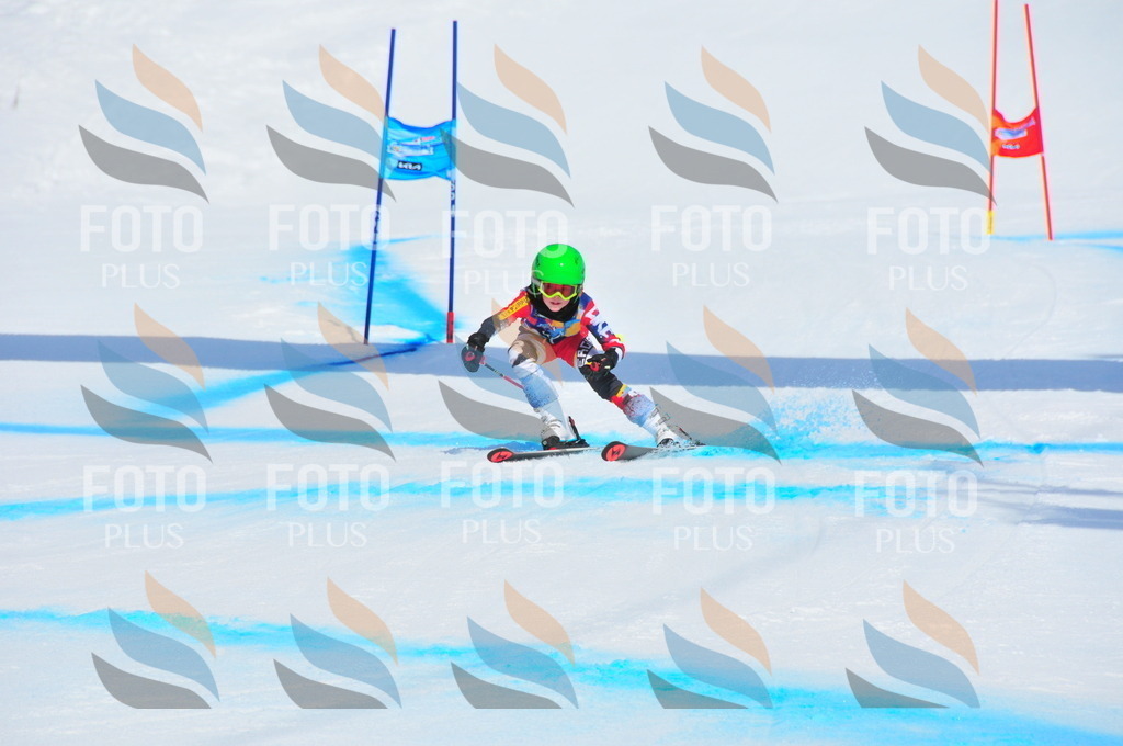 DSC_1425 | holidayphoto