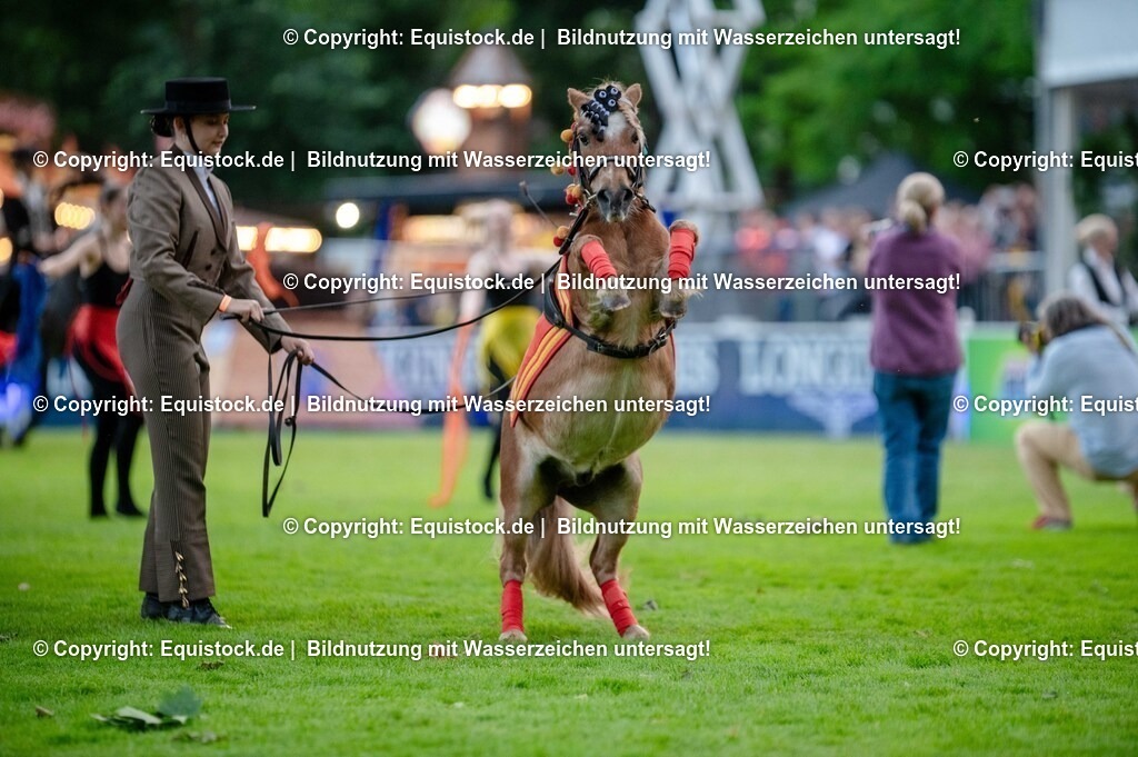 20250606_Lange-Pferdenacht_0636 | Foto: Thomas Hartig