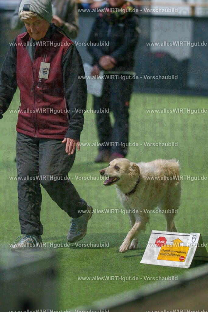 7R507978 | Professionelle Tierfotografie in Mönchengladbach von Daniel Wirth (allesWIRTHgut). Liebevolle & natürliche Bilder von Hunden & Katzen für unvergessliche Erinnerungen.