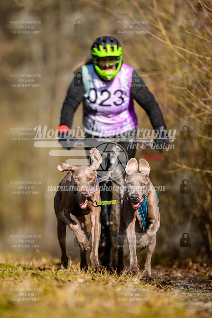 MompixPhotography_Schwabentrail2025_SO_DS2-46 | PayLife
