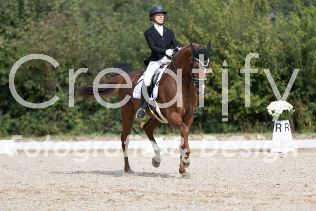 IMG_4206 | Creatify Fotografie