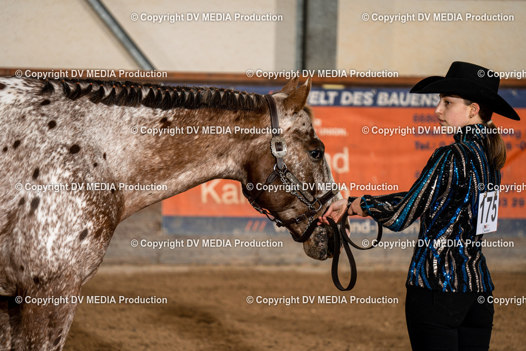 Heiligenwald Tag 1-125 | dv-media-shop - Realisiert mit Pictrs.com