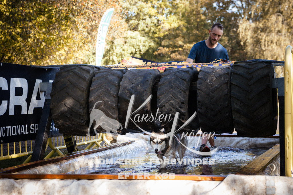 1055_ZZ92999 | kk-dogfotos