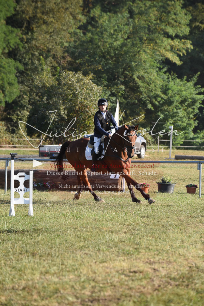 DSC_5003 | Pferde- und Turnierfotografie in Westsachsen. Pferdeportraits, Auftragszeichnungen und intuitive Kunst.