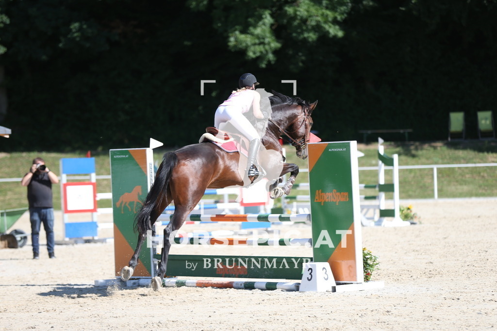 PP013610 | Willkommen bei Brunnmayr - Design & Fotografie – Ihrem Spezialisten für Reitturniere und Pferdeveranstaltungen in Oberösterreich, Salzburg und Bayern! Seit über 17 Jahren sind wir leidenschaftlich dabei.