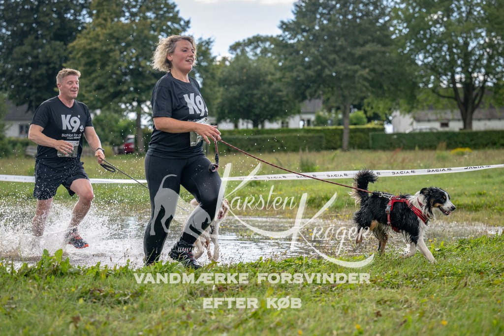 1347_ZZ90006 | kk-dogfotos